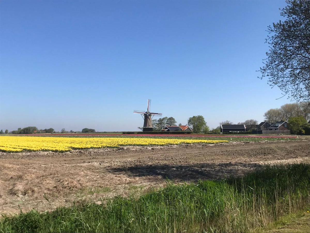 In De Gele Hoed Mooie Appartementen Met Fantastisch Uitzicht Zonnemaire Eksteriør billede
